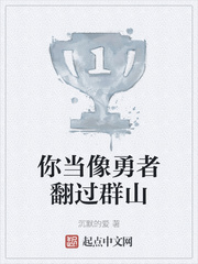 你当像勇者翻过群山小说